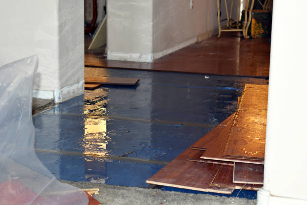 Professional Burst Pipe Water Damage technician working in Woodville, CA
